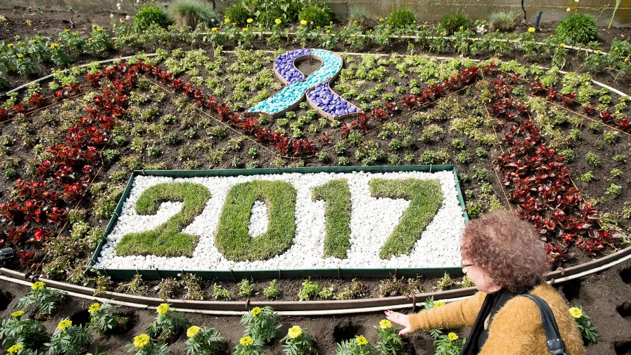 close-up of garden, with plants spelling out 2017