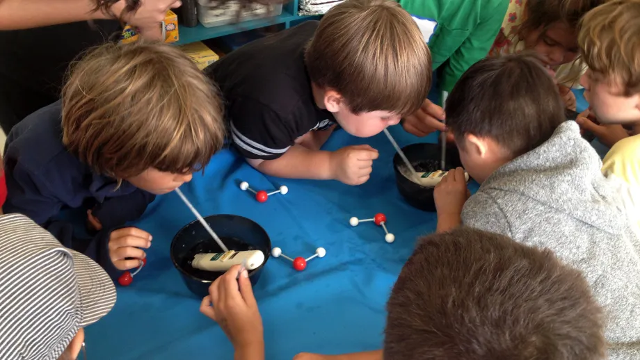 Students work with ball-and-stick-style molecular models during a BayMobile demonstration. 